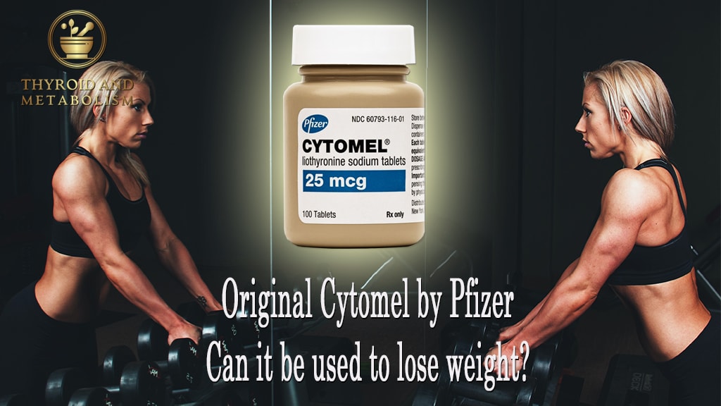 Original Cytomel by Pfizer can it be used to lose weight?