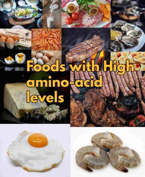 Food with high amino acids levels protein