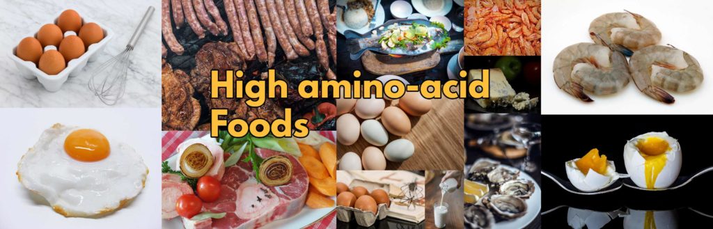 high amino acid foods