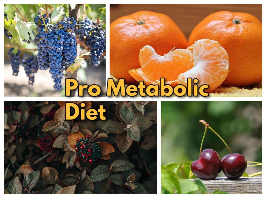Pro Metabolic eating
